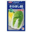 画像1: [白菜] きらぼし85 20ml タキイ種苗(株) (1)