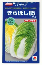 画像: [白菜] きらぼし85 20ml タキイ種苗(株)