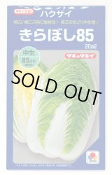 画像: [白菜] きらぼし85 20ml タキイ種苗(株)