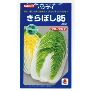 画像: [白菜] きらぼし85 20ml タキイ種苗(株)