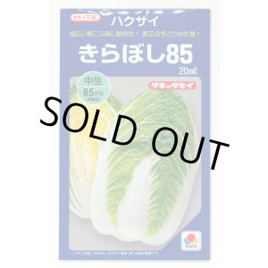 画像: [白菜] きらぼし85 20ml タキイ種苗(株)