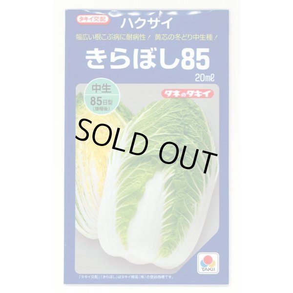 画像1: [白菜] きらぼし85 20ml タキイ種苗(株) (1)
