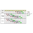画像2: [レタス] パワースイープ  ペレット種子5000粒  (株)サカタのタネ  (2)