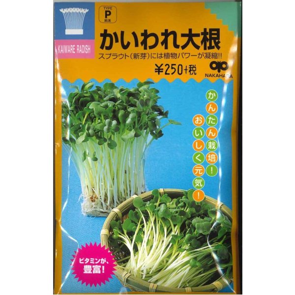 画像1: スプラウト種子 かいわれ大根 30mlスプラウト専用(無消毒種子) 中原採種場(株) (1)