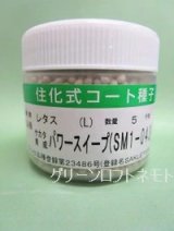 画像: [レタス] パワースイープ  ペレット種子5000粒  (株)サカタのタネ