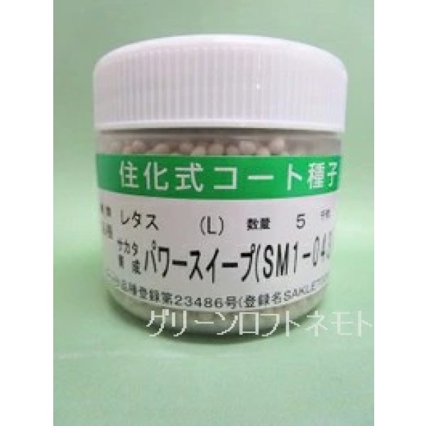 画像1: [レタス] パワースイープ  ペレット種子5000粒  (株)サカタのタネ  (1)