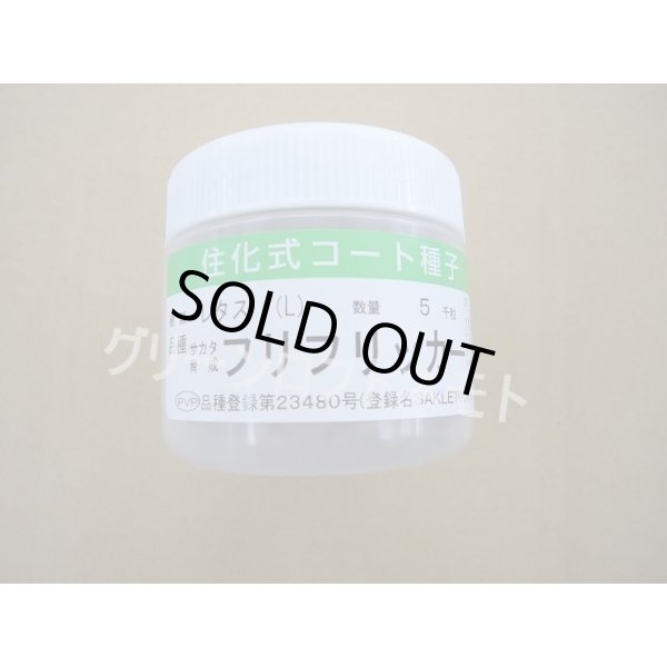 画像1: [レタス] フリフリッカー ペレット種子5000粒  (株)サカタのタネ (1)