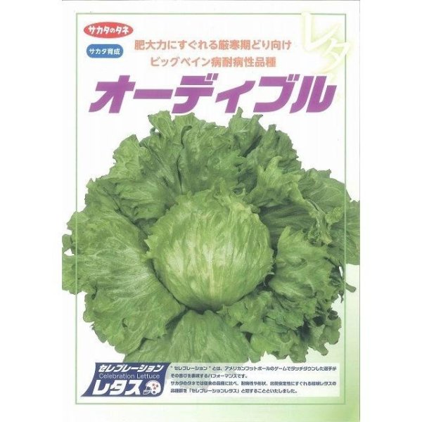 画像2: [レタス] オーディブル ペレット150粒 (株)サカタのタネ 実咲550 003172 (2)