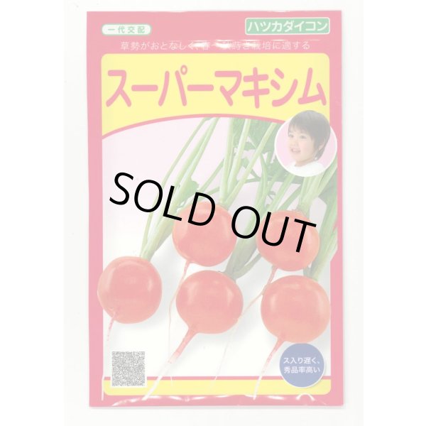 画像1: [大根] はつかだいこん スーパーマキシム　1000粒　（株）武蔵野種苗園 (1)
