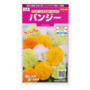 画像: 花の種 パンジー シトラスカラーミックス 約35粒 (株)サカタのタネ 実咲350(027358)