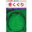 画像1: [キャベツ] 冬くぐり　小袋カネコ種苗（株） (1)
