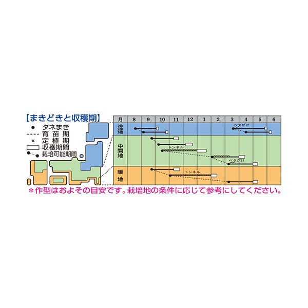 画像3: [かぶ] ふゆばな ペレット5千粒 タキイ種苗(株) (3)