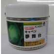 画像1: 送料無料　キャベツ　夢舞台　ペレット種子5千粒　タキイ種苗(株) (1)