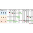 画像3: [そら豆] 多空の春 1dl (株)サカタのタネ (3)