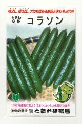 画像: 送料無料　[キュウリ]　コラソン　350粒　(株)ときわ研究場