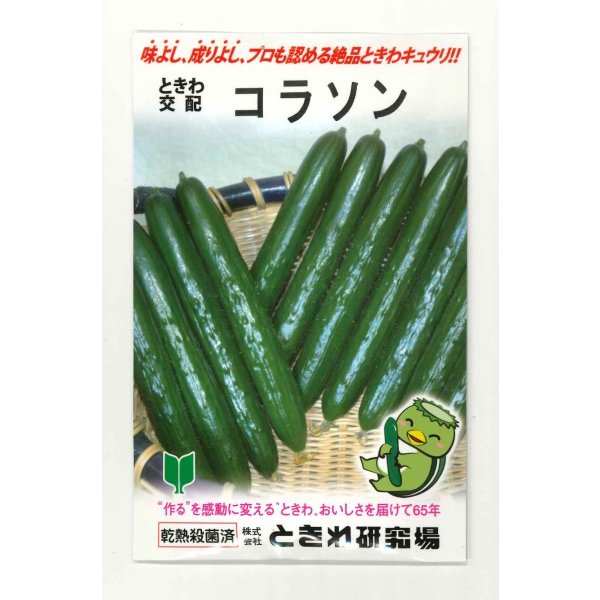 画像1: 送料無料　[キュウリ]　コラソン　350粒　(株)ときわ研究場 (1)