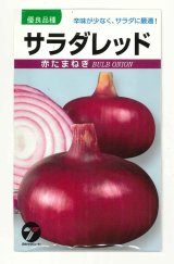 画像: [たまねぎ] サラダレッド2.5ml(約340粒) (株)タカヤマシード