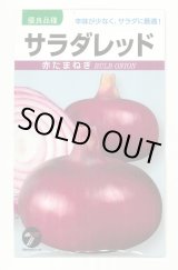 画像: [たまねぎ] サラダレッド2.5ml(約340粒) (株)タカヤマシード
