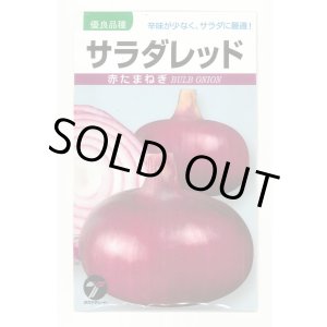 画像: [たまねぎ] サラダレッド2.5ml(約340粒) (株)タカヤマシード