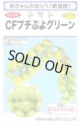 画像: [トマト/ミニトマト] CFプチぷよグリーン100粒 (株)渡辺採種場