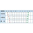 画像2: [たまねぎ] サラダレッド2.5ml(約340粒) (株)タカヤマシード (2)