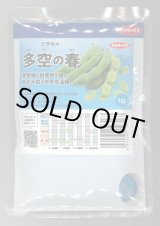 画像: [そら豆] 多空の春 1dl (株)サカタのタネ