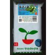 画像1: [そら豆] 多空の春 1L (株)サカタのタネ (1)