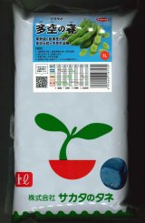 画像: [そら豆] 多空の春 1L (株)サカタのタネ