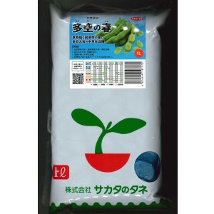画像: [そら豆] 多空の春 1L (株)サカタのタネ