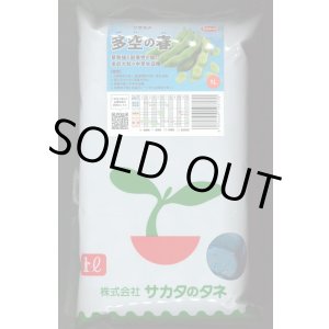 画像: [そら豆] 多空の春 1L (株)サカタのタネ