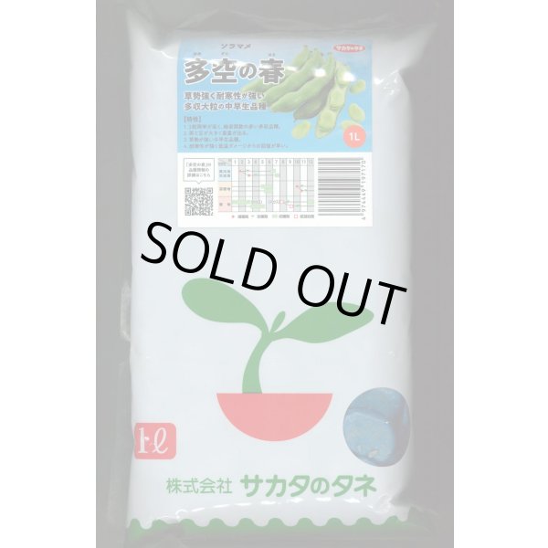 画像1: [そら豆] 多空の春 1L (株)サカタのタネ (1)