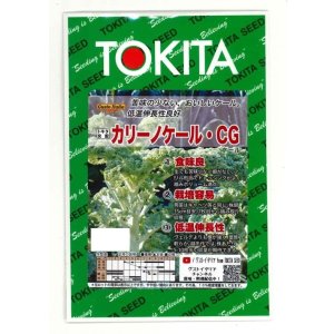 画像: カリーノケールCG コート種子1000粒 トキタ種苗(株)