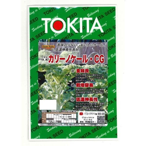 画像1: カリーノケールCG コート種子1000粒 トキタ種苗（株） (1)