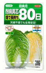 画像: [白菜] 初美月 約110粒（株）サカタのタネ　実咲450（208844）
