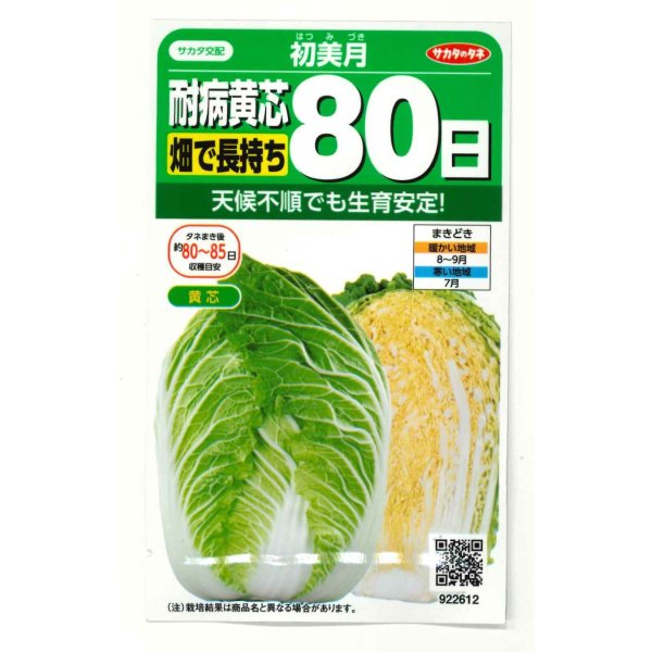 画像1: [白菜] 初美月 約110粒（株）サカタのタネ　実咲450（208844） (1)