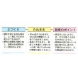 画像3: [そら豆] お多福 1dl トキタ種苗（株） (3)