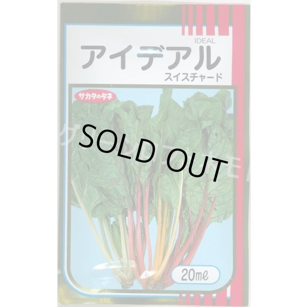 画像1: アイデアル(スイスチャード) 20ml (株)サカタのタネ (1)
