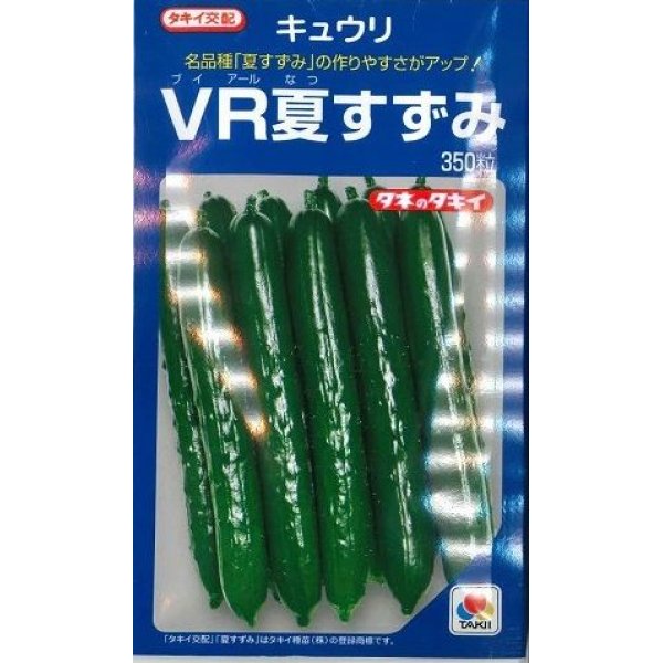 画像1: [キュウリ]　ＶＲ夏すずみ　350粒　タキイ種苗（株） (1)