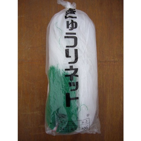 画像1: キュウリネットダブルサイズ　24cm×　4.2ｍ×　100ｍ (1)