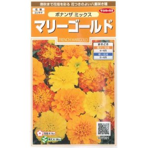 画像: 花の種　マリーゴールド　ボナンザミックス　約43粒　サカタのタネ（株）　実咲200