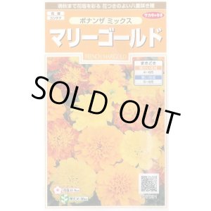 画像: 送料無料　花の種　マリーゴールド　ボナンザミックス　約43粒　(株)サカタのタネ　実咲200（026360）
