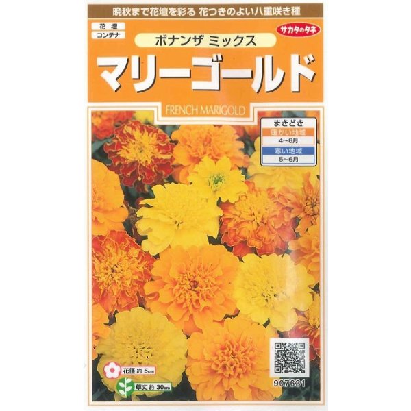 画像1: 花の種　マリーゴールド　ボナンザミックス　約43粒　サカタのタネ（株）　実咲200 (1)