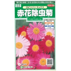 画像: 花の種　赤花除虫菊　ロビンソンミックス　約125粒　サカタのタネ（株）実咲250