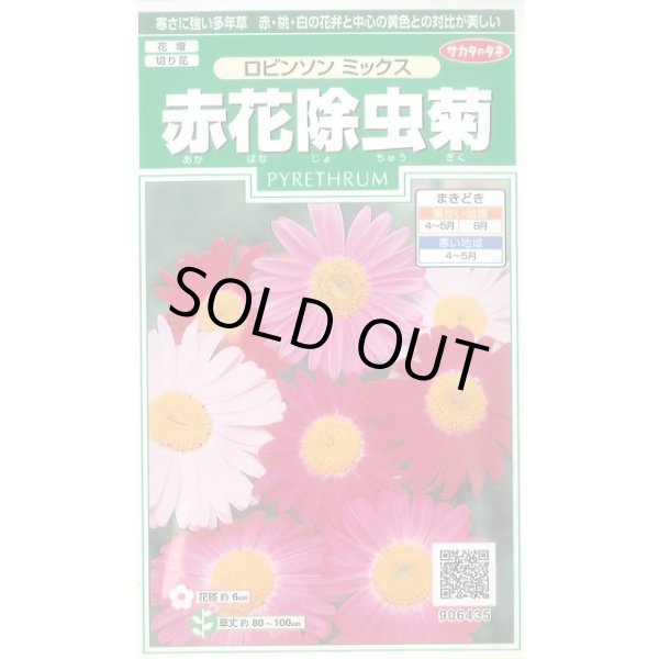 画像1: 送料無料　花の種　赤花除虫菊　ロビンソンミックス　約125粒　　(株)サカタのタネ　実咲250（026247） (1)
