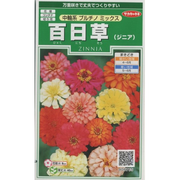 画像1: 花の種　百日草（ジニア）　中輪系プルチノミックス 　約40粒　サカタのタネ（株）実咲250 (1)