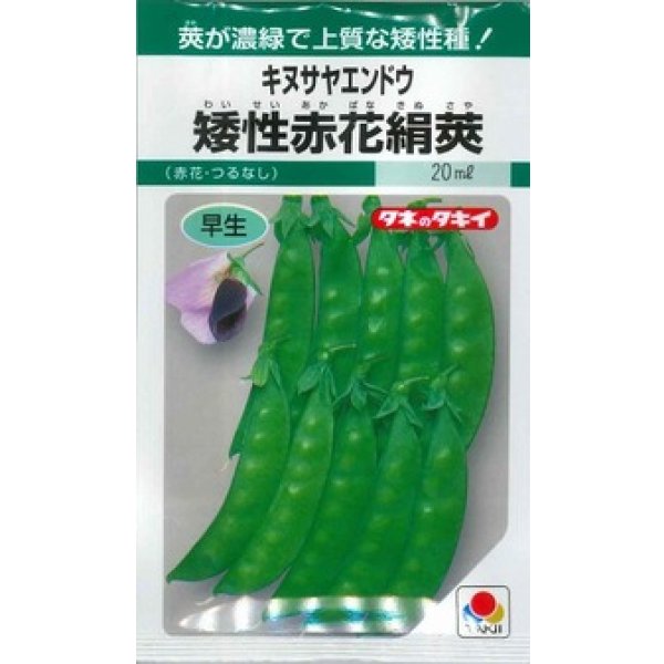 画像1: 送料無料　[えんどう]　キヌサヤエンドウ　矮性赤花絹莢　18ml　GF (1)