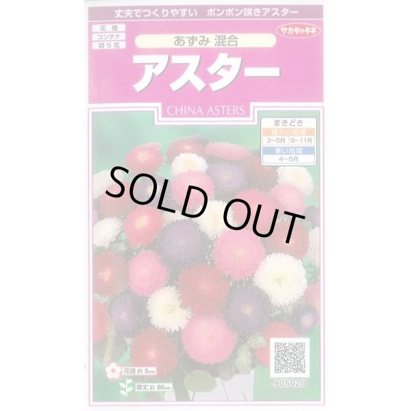 画像1: 送料無料　花の種　アスター　あずみ混合　約143粒　(株)サカタのタネ　実咲350（026083） (1)
