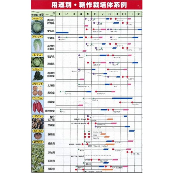 画像7: [緑肥] ヘアリーベッチ まめっこ 1kg カネコ種苗(株) (7)