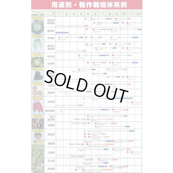 画像7: [緑肥]　ヘアリーベッチ　まめっこ　1kg　カネコ種苗(株) (7)