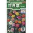 画像1: 花の種　百日草（ジニア）　極小 切り花用　ミニポンポンミックス　約29粒　サカタのタネ（株）実咲250 (1)